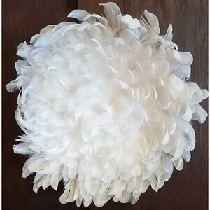 Hobby Lobby White Feather Wreath Hanging Wall Decor 18 inch